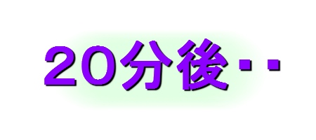 aoihito3.jpg