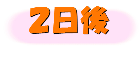 hensou5.jpg