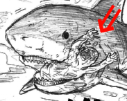 nemekao.jpg