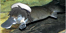 zitumiyasi-.jpg